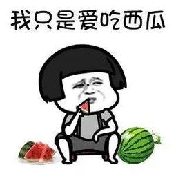 坐等吃瓜娱乐圈